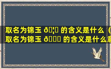 取名为锦玉 🦟 的含义是什么（取名为锦玉 🐛 的含义是什么意思）